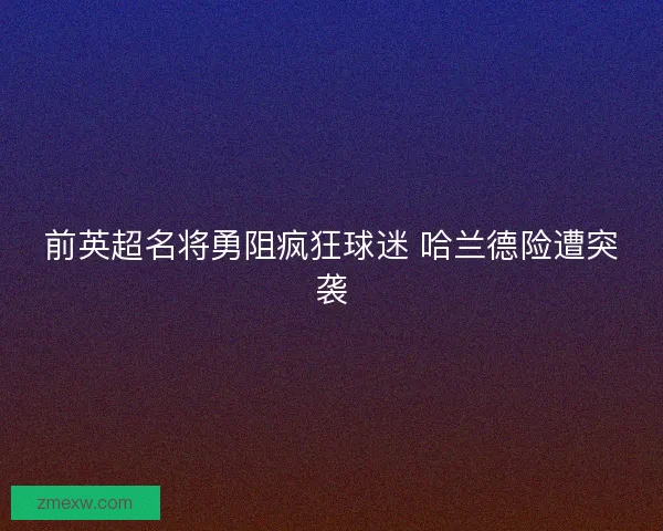 前英超名将勇阻疯狂球迷 哈兰德险遭突袭