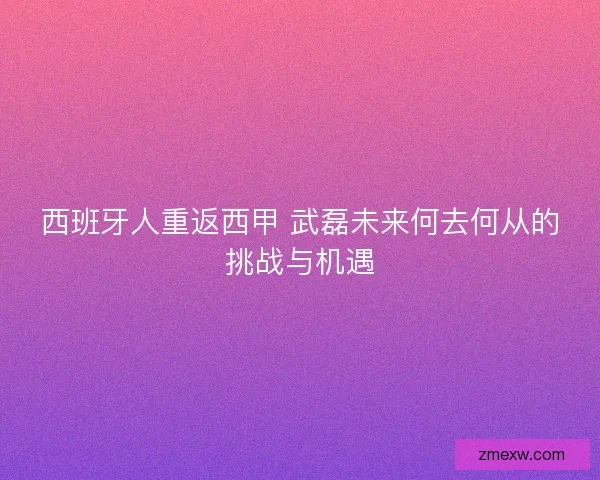 西班牙人重返西甲 武磊未来何去何从的挑战与机遇
