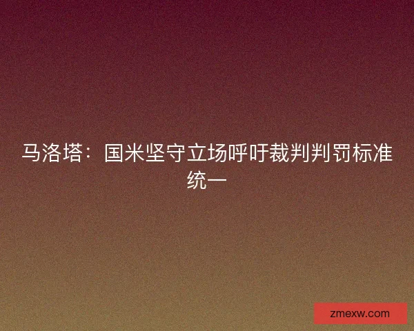 马洛塔：国米坚守立场呼吁裁判判罚标准统一