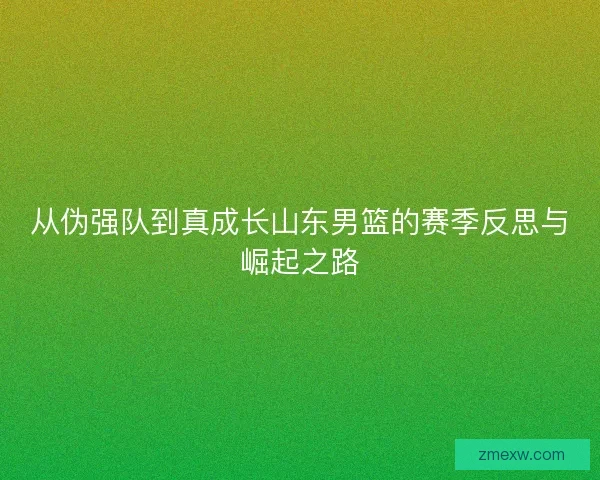 从伪强队到真成长山东男篮的赛季反思与崛起之路